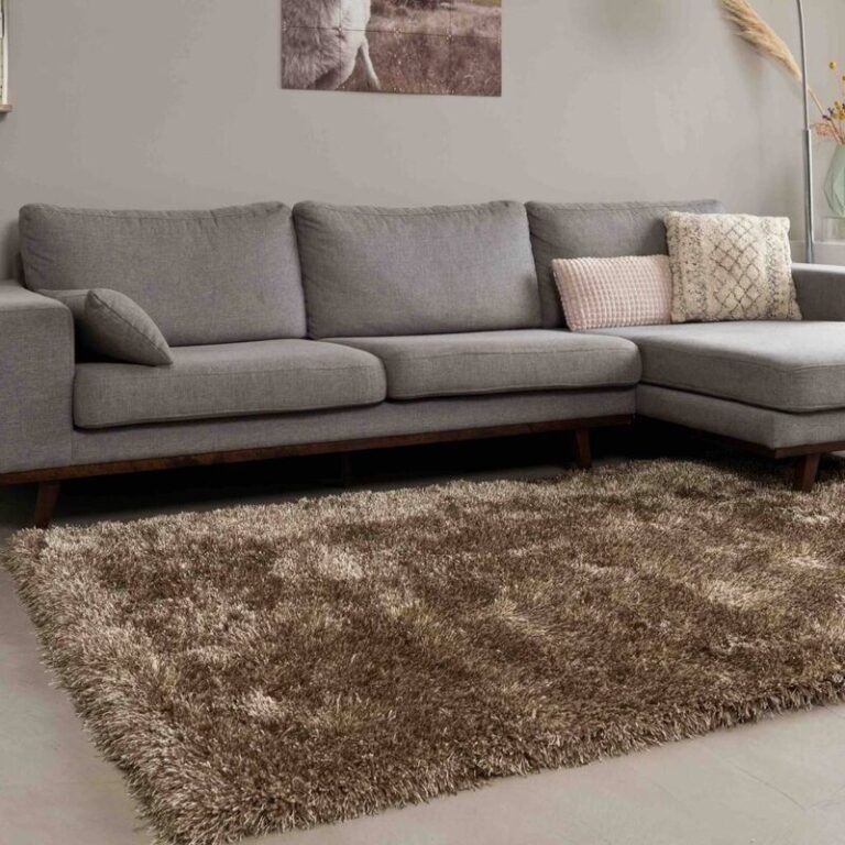 woonkamer vloerkleed